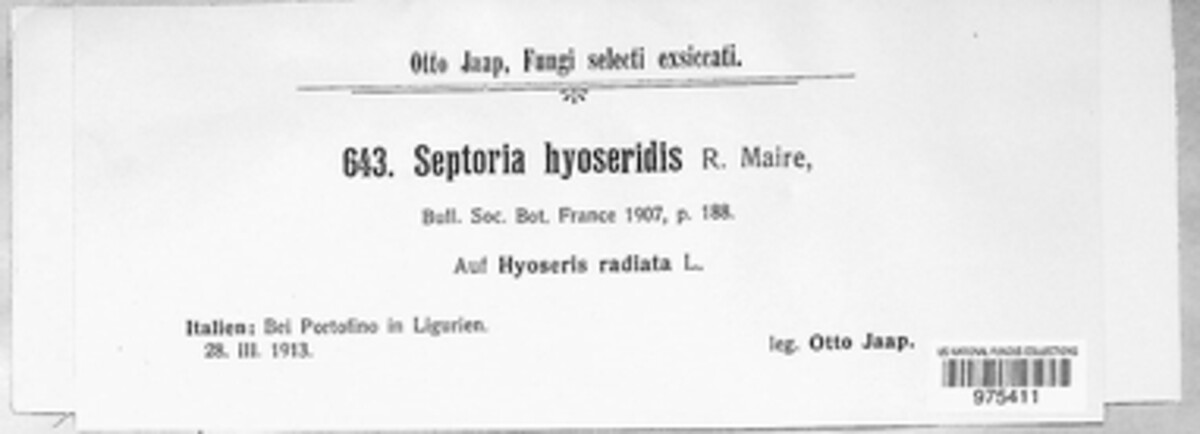 Septoria hyoseridis image